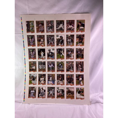 RARE 2007 Bullfrogs Uncut Baseball Cards Autograph Daniel Robertson Many Players