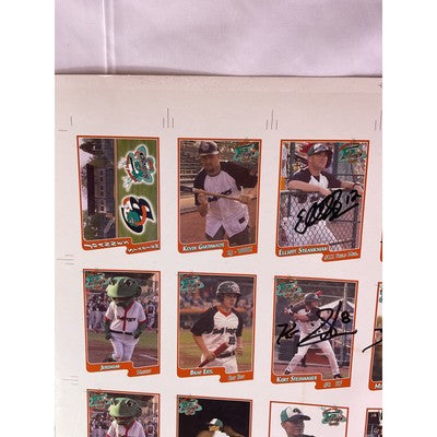 RARE 2007 Bullfrogs Uncut Baseball Cards Autograph Daniel Robertson Many Players