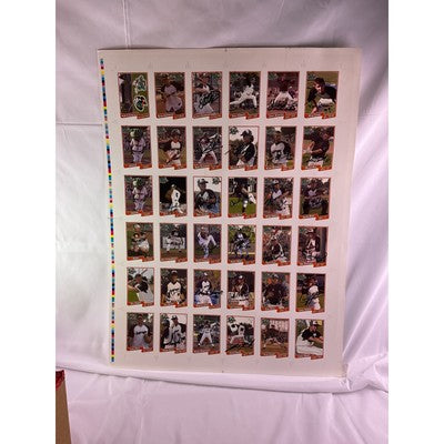 RARE 2007 Bullfrogs Uncut Baseball Cards Autograph Daniel Robertson Many Players