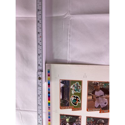 RARE 2007 Bullfrogs Uncut Baseball Cards Autograph Daniel Robertson Many Players