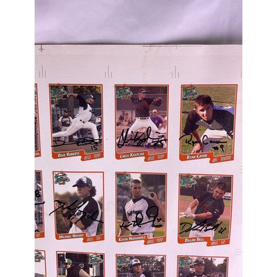 RARE 2007 Bullfrogs Uncut Baseball Cards Autograph Daniel Robertson Many Players