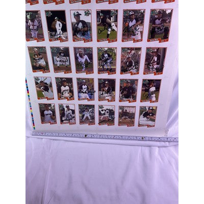 RARE 2007 Bullfrogs Uncut Baseball Cards Autograph Daniel Robertson Many Players