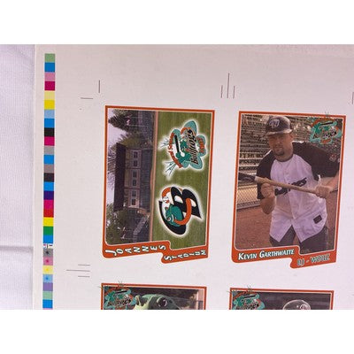 RARE 2007 Bullfrogs Uncut Baseball Cards Autograph Daniel Robertson Many Players
