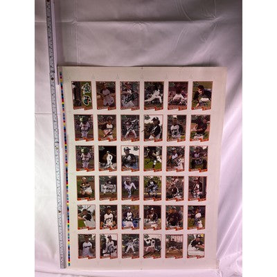 RARE 2007 Bullfrogs Uncut Baseball Cards Autograph Daniel Robertson Many Players